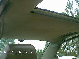 BMW Headliner