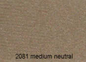 2081 Med Neutral Headliner color sample